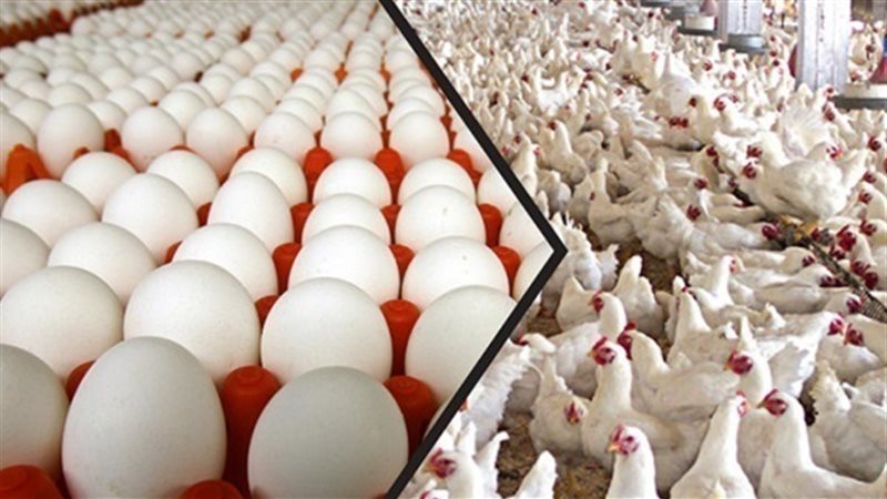 الحق والضلال