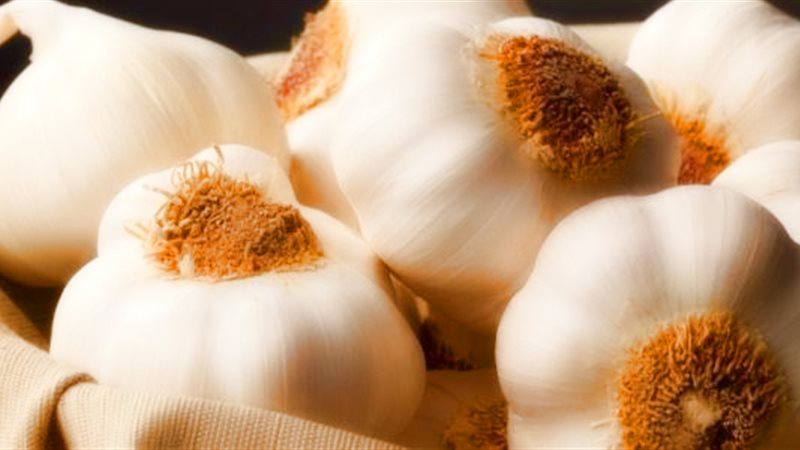 الحق والضلال