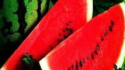 كل المعلومات التى تساعدك ان تختار بطيخة حمراء لذيذة