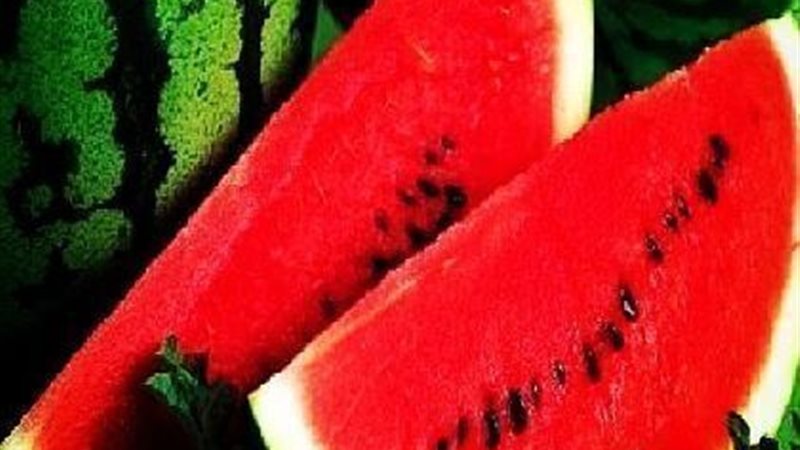 الحق والضلال