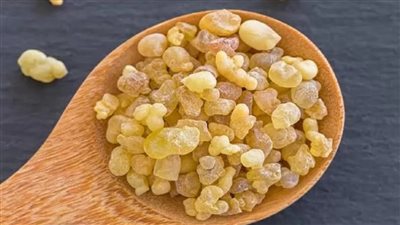 اللبان الدكر لنسف الكرش فى شهر واحد