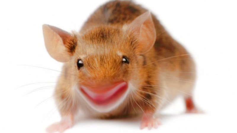 الحق والضلال