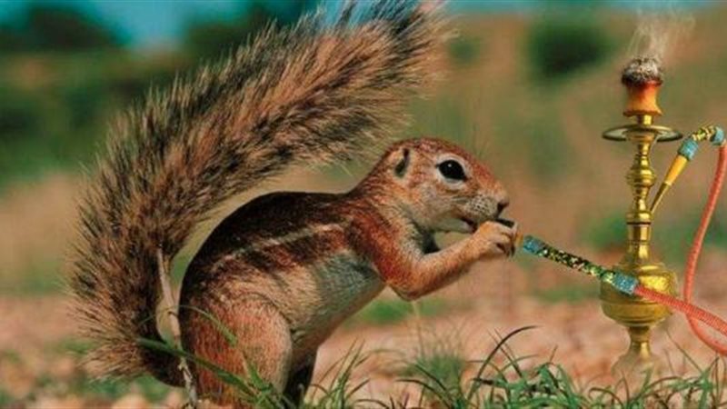 الحق والضلال