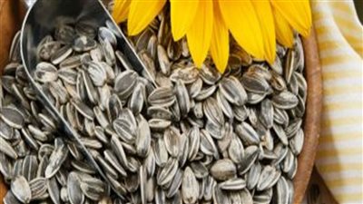 اللب السوري فوائده و اضراره يزيد الوزن ويمنع تساقط الشعر