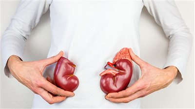 تناولو ٦ وجبات فى اليوم نصائح هامه لمرضى الكلى وهذه الأكلات ممنوعه تماما