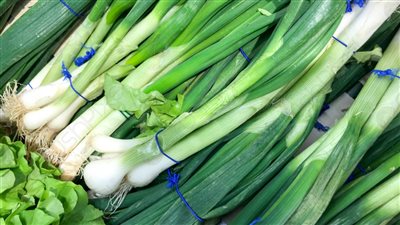 هاتنسى طريق الدكاتره فوائد البصل الأخضر هاتخليك تاكله كل يوم