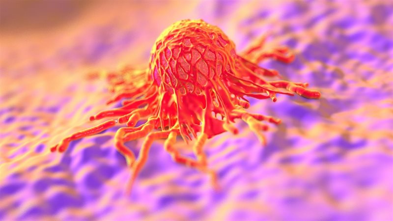 الحق والضلال