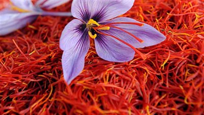 منشط جنسى و بيخسس فوائد عديده للزعفران لكن مش اى حد يقدر على سعره