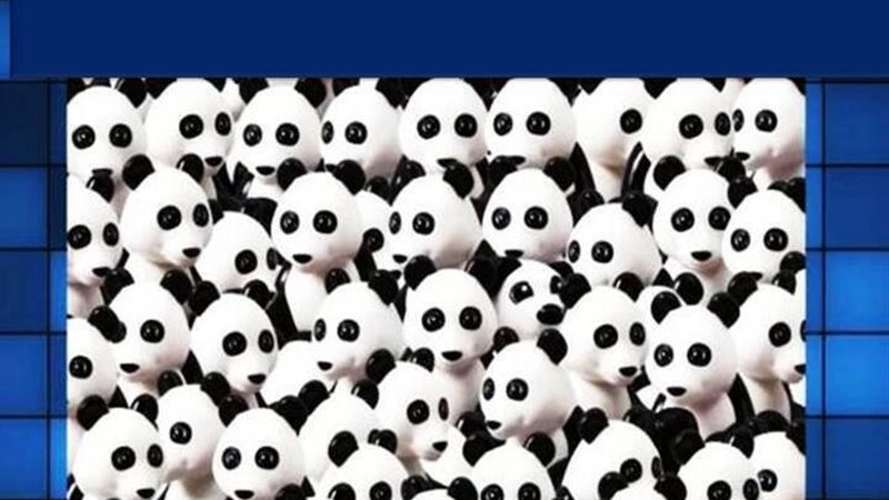 الحق والضلال