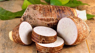 القلقاس و التخسيس فوائد القلقاس لفقدان الوزن و السكر و الحمايه من السرطان