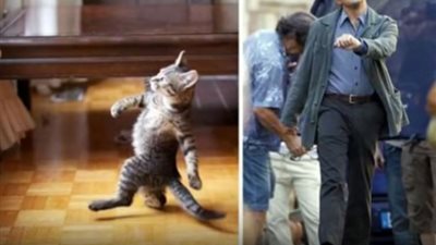 اجمل صور مضحكة جدا