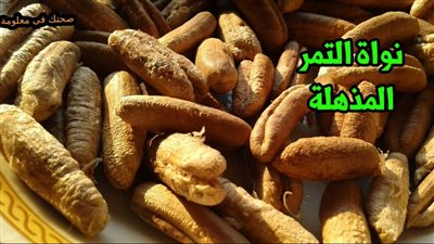 نواة البلح لها فوائد صحية لا تعد ولا تحصى اهمها تحسين عملية الهضم ١٦ فائده