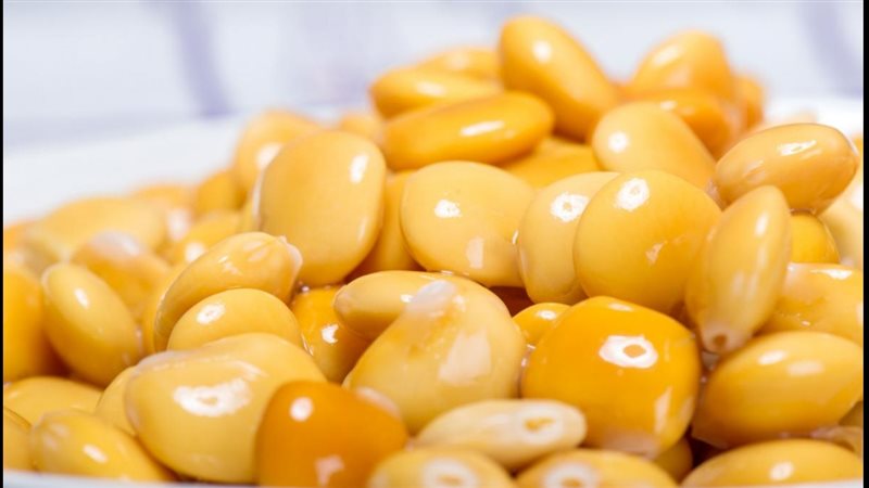 الحق والضلال