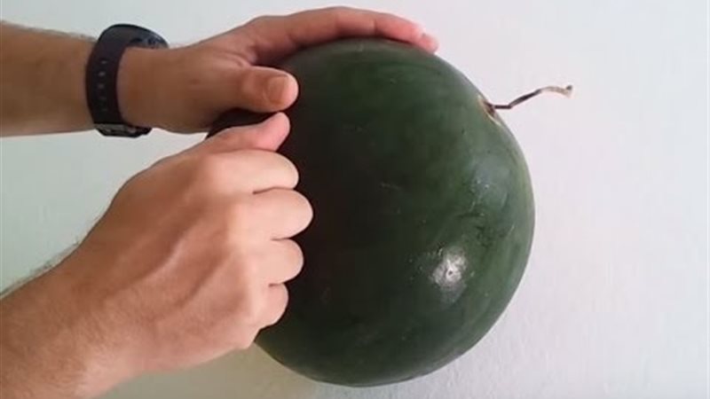 الحق والضلال