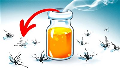 حافظى على بيتك نظيف وصحى ملعقه واحده من هذا الخليط تخلصك من الحشرات نهائيا