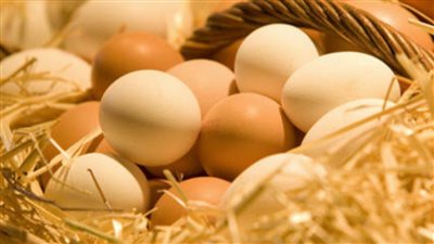 سعر الكرتونه البلدي 63 جنيه تعرف على سعر البيض الابيض والاحمر