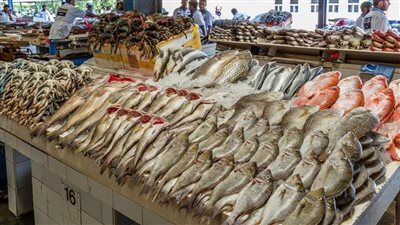 اسعار السمك بجميع انواعه فى سوق العبور اليوم