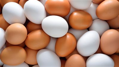 اسعار كرتونه البيض الابيض والاحمر والبلدي بالسوق اليوم