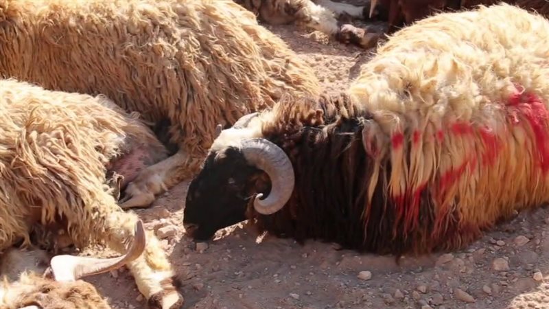 الحق والضلال