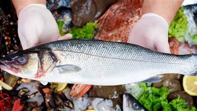 اسعار الاسماك اليوم فى سوق العبور الجمبرى وصل لـ 300 جنيه