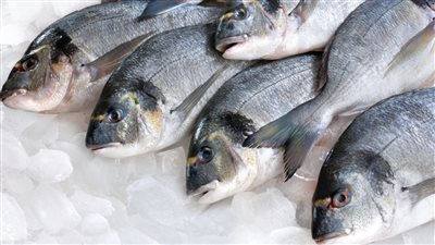 اسعار السمك بكل انواع بالاسواق اليوم