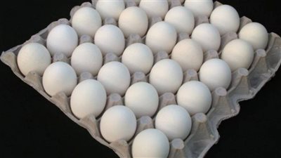 اسعار البيض الاحمر والابيض والبلدي