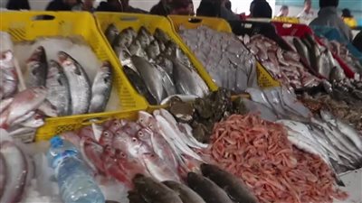 اسعار الاسماك فى الاسواق اليوم