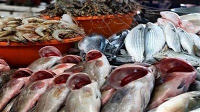 البلطي يفاجئ الجميع اسعار المؤكلات البحرية اليوم الثلاثاء