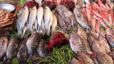 اسعار الاسماك اليوم الثلاثاء فى سوق العبور