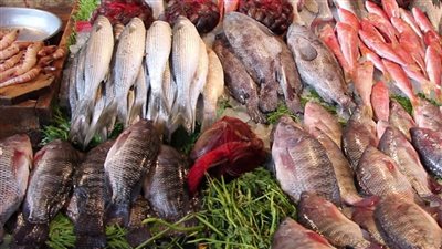 البورى يقترب من 70 جنيه تعرف على اسعار السمك اليوم