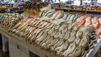اسعار الاسماك اليوم الخميس 26 مايو 2022 فى الأسواق