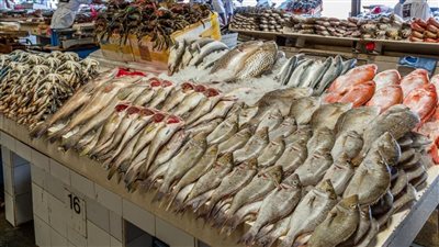 أسعار المأكولات البحرية اليوم الجمعة 27 مايو 2022 فى مصر