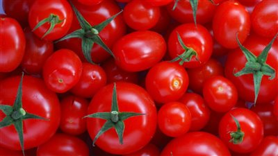 إنفلونزا الطماطم مرض يثير الخوف والرعب بين الاباء تعرف علي كيفية انتقالها