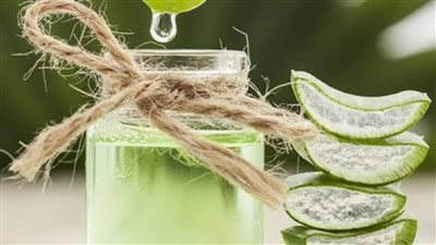 لعصير الصبار فوائد كثيرة منها فقدان الوزن تعرف عليها