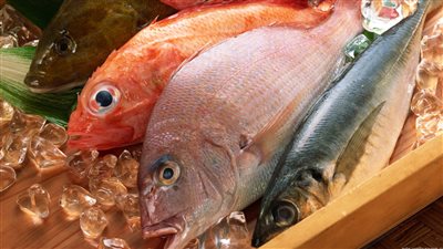 اسعار الاسماك بجميع انواعها فى سوق العبور اليوم السبت