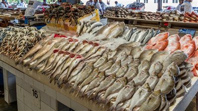 سعر الاسماك اليوم 29 5 2022