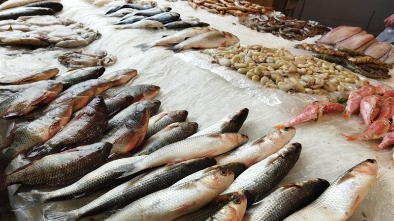 الحق والضلال