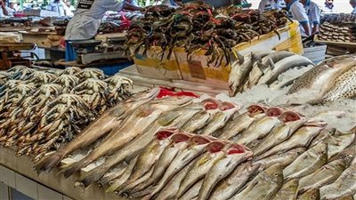 أسعار السمك فى سوق العبور صباح اليوم الثلاثاء 31 مايو 2022