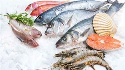 أسعار الأسماك فى سوق العبور اليوم الثلاثاء 31 مايو 2022