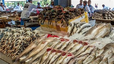 اسعار الاسماك فى سوق العبور اليوم بجميع انواعها
