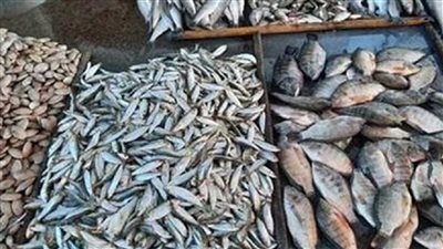 البلطي رخص مفاجأة كبري في أسعار السمك في الاسواق اليوم الخميس