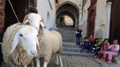 موعد وقفة عرفات وأول أيام عيد الأضحى 2022 البحوث الفلكية تعلنه رسميا