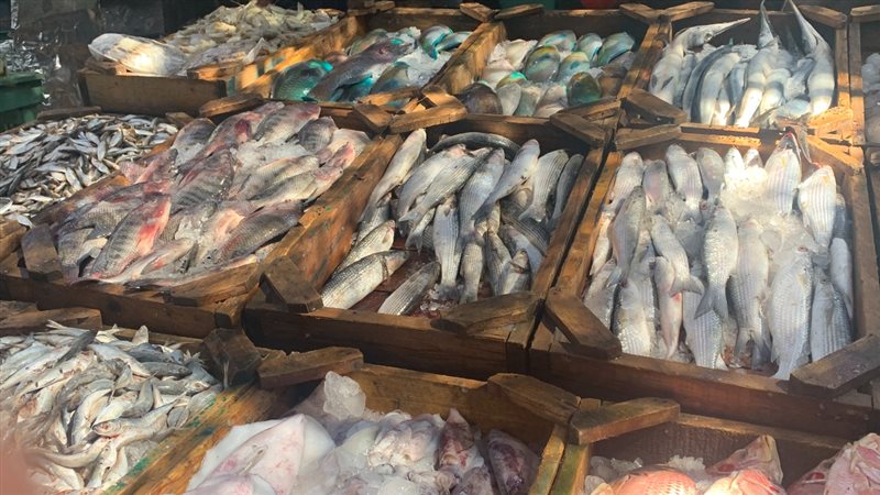 الحق والضلال