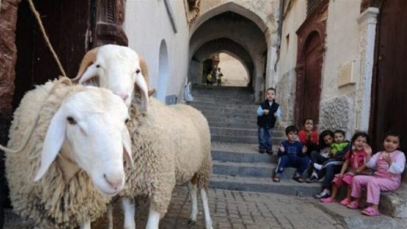 الحق والضلال