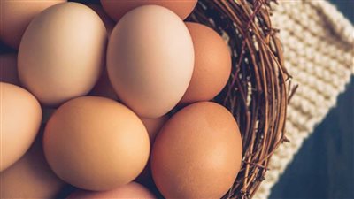 سعر كرتونة البيض في الأسواق اليوم الجمعة 3 يونيو 2022