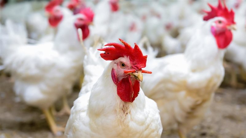 الحق والضلال