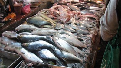 اسعار السمك بكل انواعه قى سوق العبور اليوم السبت