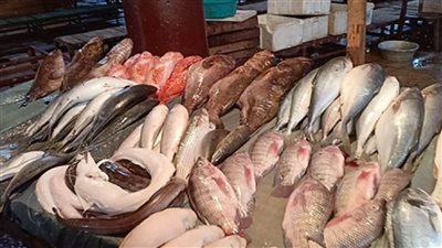 أسعار السمك والمأكولات البحرية في الاسواق