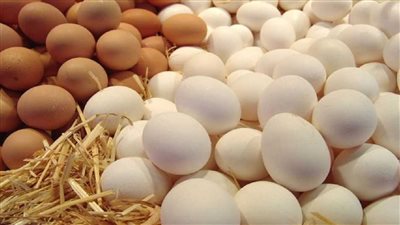 مفاجأة غير متوقعه في أسعار طبق البيض خلال تعاملات اليوم الأحد