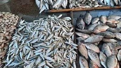 ارتفاع غير متوقع لجميع انواع السمك في الاسواق